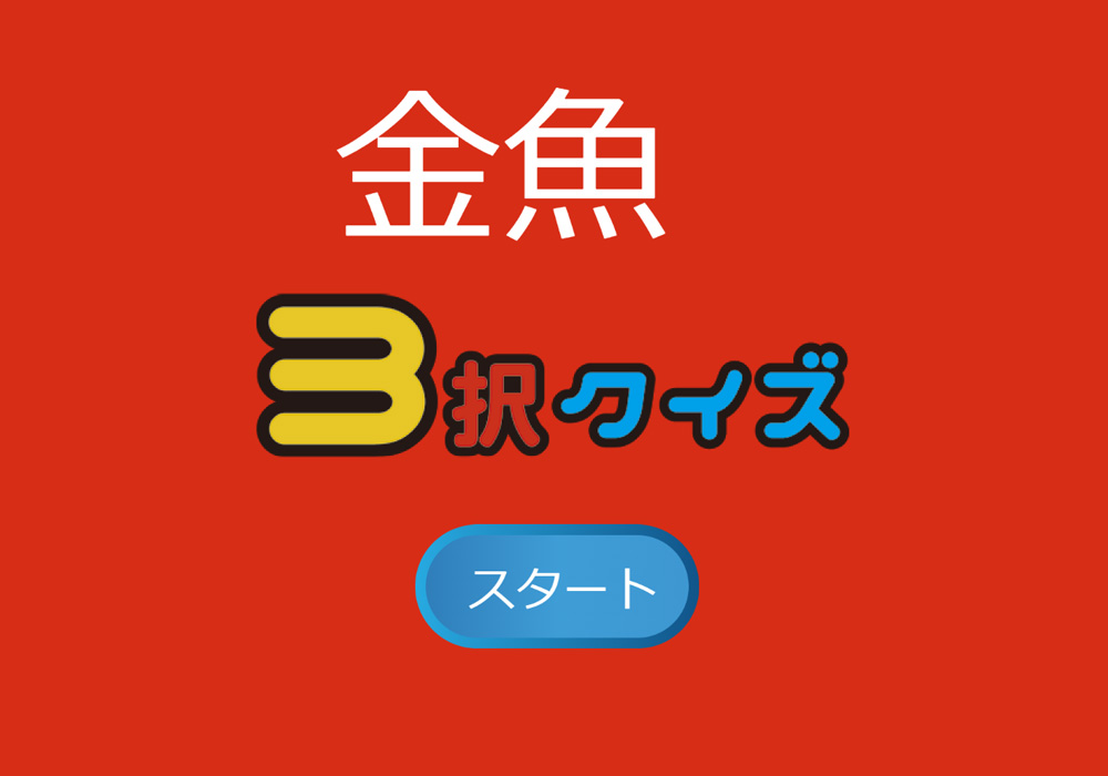 金魚3択クイズ